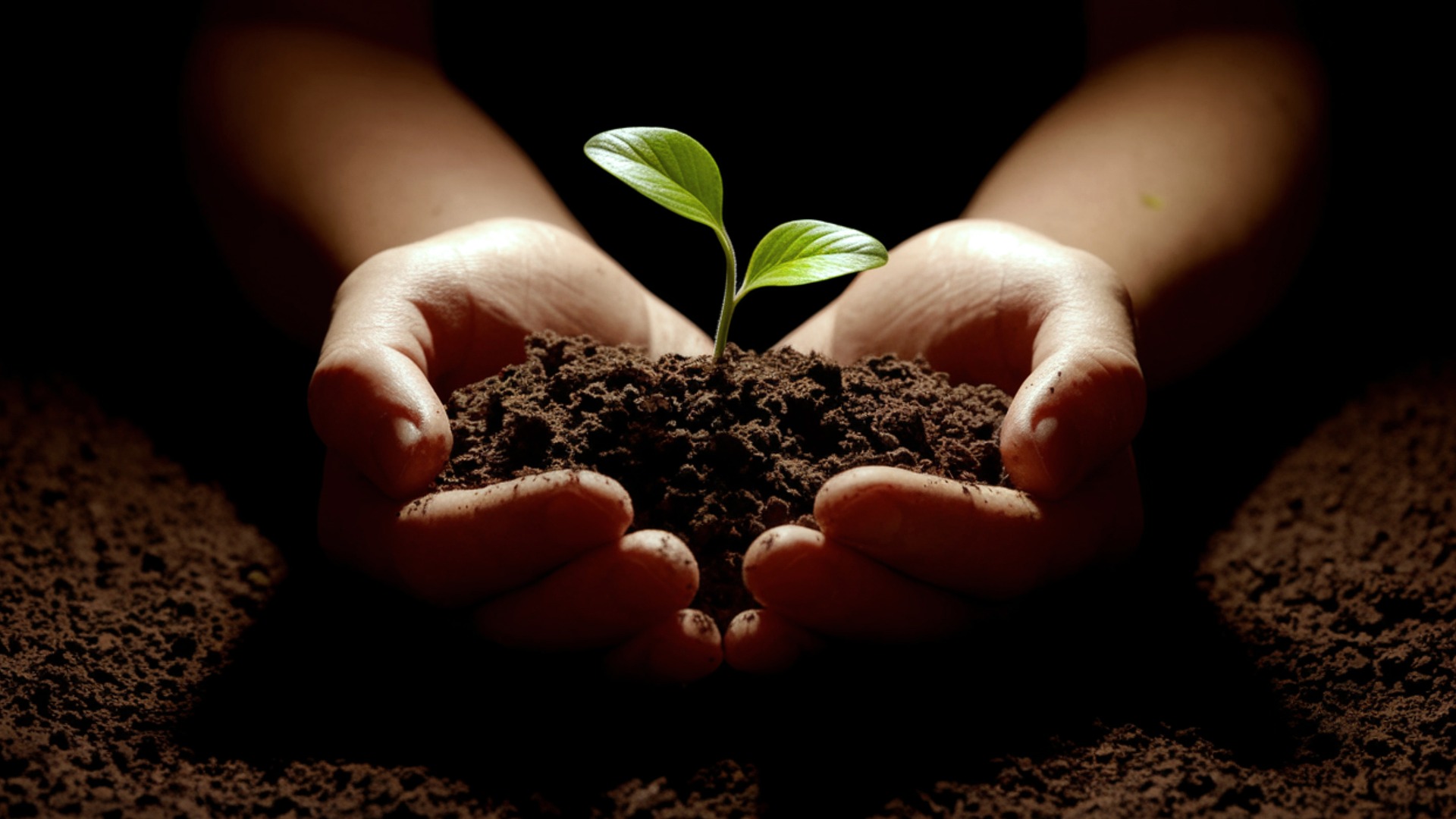 Unveiling the Mysteries of the Restoration